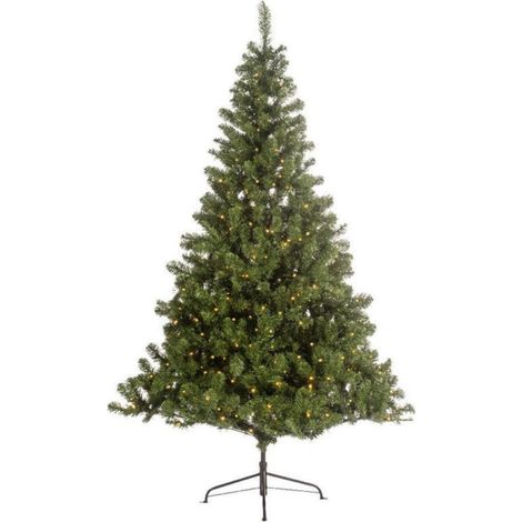 Albero Imperial Pine 600L H240 x D147