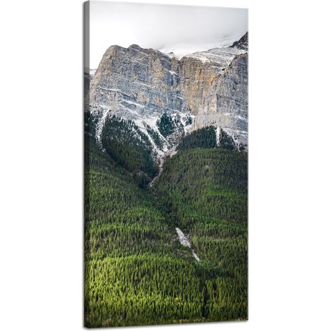 Leinwanddruck Natur Berghang Bäume 40x80
