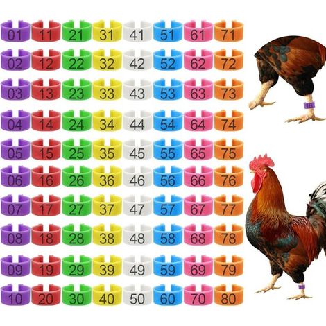 Anneaux pour pattes de volaille – Anneaux pour oiseaux – numérotés – plastique – 8 couleurs – 80 pièces – 2,1 cm – pour le marquage (1/5)
