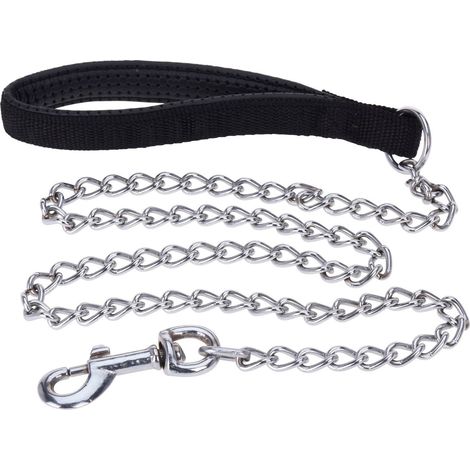 Laisse en métal pour chien, 100 cm