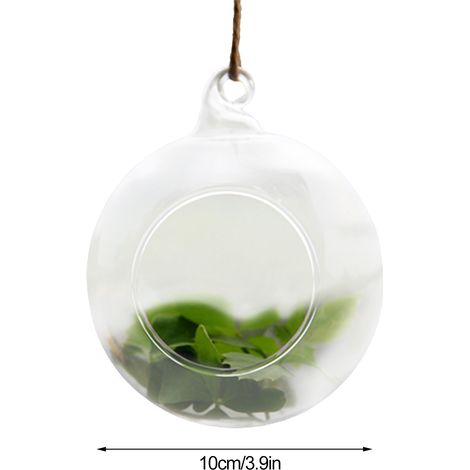 Hängendes Terrarium aus Borosilikatglas – 3 Größen (6 cm/8 cm/10 cm) – 1 Stück – Transparent für Pflanzen