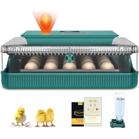 Couveuse Oeuf Automatique 25 Oeufs, Incubateur Oeuf Automatique, Retournement Automatique des ufs N8 (1/4)