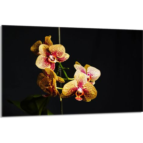 Lastra protettiva in vetro per stufa 80x52 Orchidea (1/5)