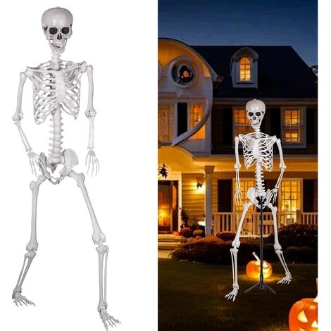 Plastikskelett Halloween 240cm Ganzkörper Gelenke Garten 6 (1/5)