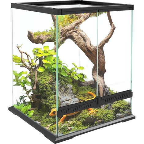Terrarium. Boîtier en verre. Verrouillable, en verre, noir, 45 x 45 x 60cm, pour maison et usage quotidien, format pratique