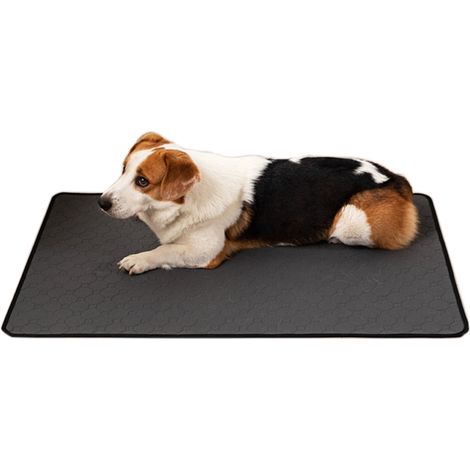 Tapis Absorbant Pour Animaux - Imperméable Et Lavable En Machine - Pour Chiens Et Chats - 60 X 90 Cm - 1 Pièce (1/5)