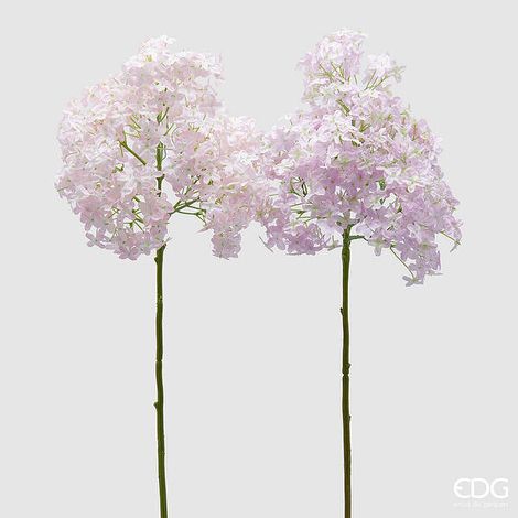EDG Enzo De Gasperi Lillà Ramo H 95 Cm Rosa e Rosa chiaro 2 Pz