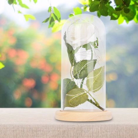 LED-beleuchtete Rose mit Glasfuß, ideales Geschenk zum Valentinstag oder zur Hochzeit (weiß) (1/5)