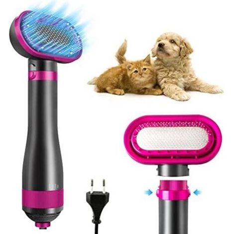 Sèche-cheveux pour chiens - Souffleur d'eau pour chiens