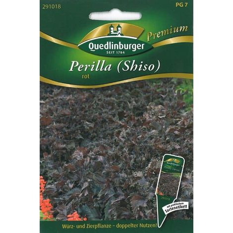 Quedlinburger Perilla Shiso rot - Premium Kräutersamen (1/2)