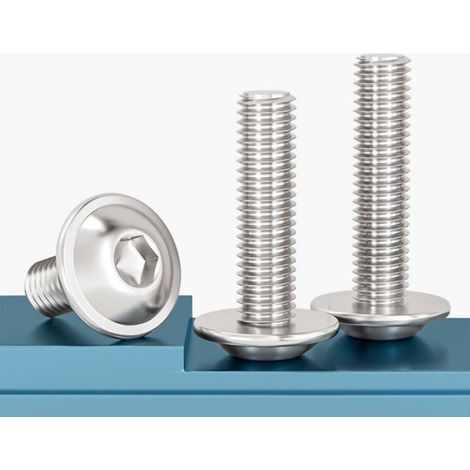 Vis à Tête Bombée avec Bride,M6x30mm Boulons à Six Pans Creux Acier Inoxydable A2 V2A Vis de Serrure pour Les Connexions,20 Pcs (1/5)