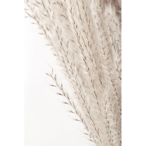 Tableau sur toile fleurs beiges 30x45 cm - Impression sur Toile Murale Décorative - Image imprimée en HD sur Toile - Toile sur Châssis en Bois FSC - Fabriqué en France