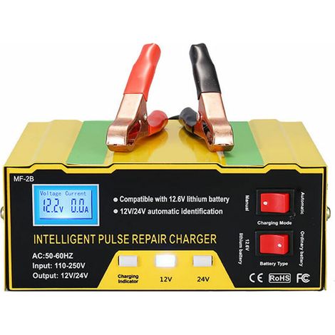 Green Mobility-Chargeur de batterie de voiture 12V24V (1/4)