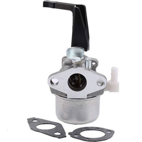 696065 Ersatzvergaser mit Dichtungssatz für Briggs & Stratton-Motoren (1/4)