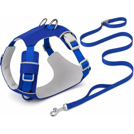 Équipement de promenade pour chien bleu profond ensemble L