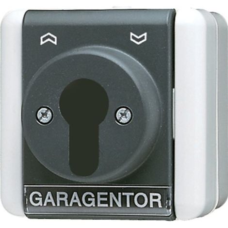 Jung Interruptor de llave para persianas, interruptor inversor, 1-pol. (1 accionamiento), IP 44, WG 800 804.18 W