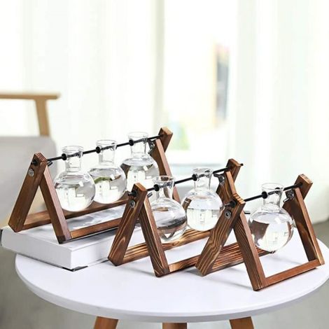 Vases Ampoule en Verre, Ampoule de Verre Pot de Fleurs avec Support en Bois et Métal Tige pour Plantes Hydroponiques, Décorati[339] (1/4)