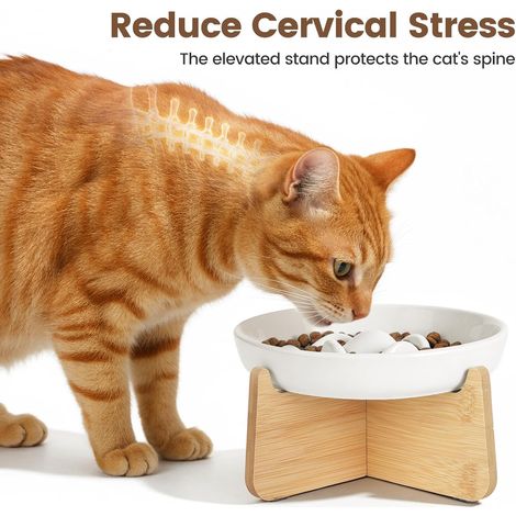Gamelle Anti Glouton Chat Céramique Surélevée Bambou Support, Anti Vomissements, Manger Lentement, Aliment Sec Humide (Blanc, Baleine) (1/3)
