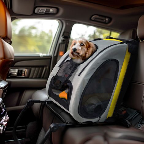 BingoPaw 2-in-1 Convertible and Foldable Small Pet Carrier and Stroller Car Seat Cage (1/5)