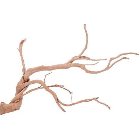 XXL Moorkienwurzel Nr.4336 Holz Deko Aquascaping