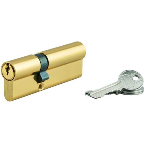 Cylindre de serrure double entrée 35x55 mm doré – 3 clés crantées – SP (1/2)