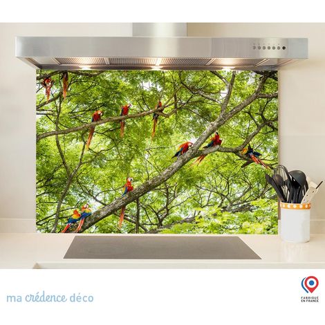 Fond de hotte : Perroquets,-Costa-rica - Verre trempé - 60 cm - 45 cm