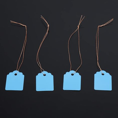 200 étiquettes en PVC pour plantes, à suspendre, pour graines de fleurs, identification en extérieur, maison et jardin (bleu) (1/5)