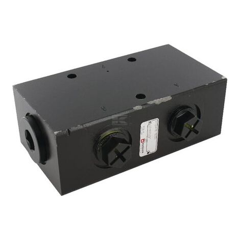 Divisor de caudal 50-160 l/min BUCHER MTDA16160M (1/4)