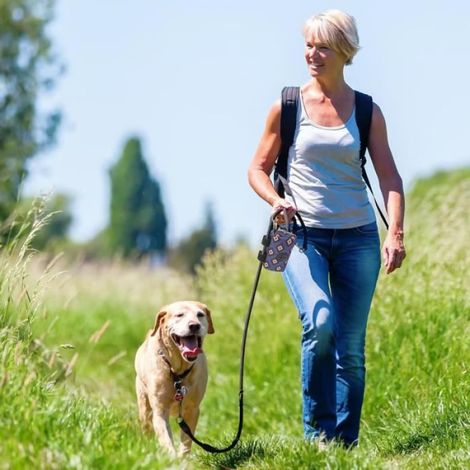 Distributeur de Sac à Caca pour Chien - Portable - Noir - Pour Petit Chien (1/4)