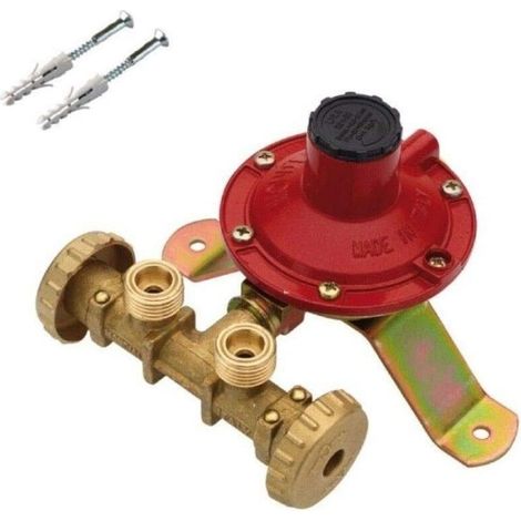 Minicentralina Gas 2 Uscite Portata 4 Kg/H (1/5)