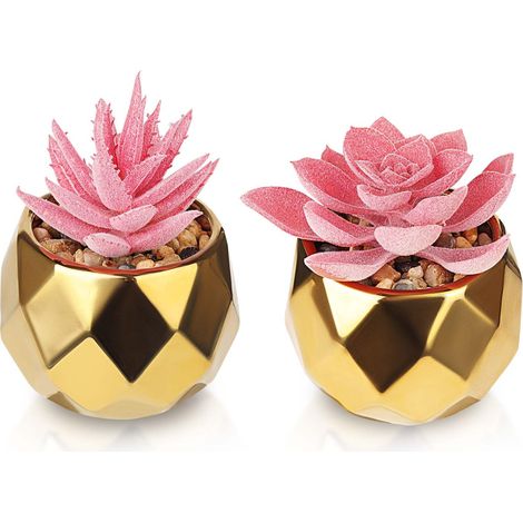 Lot de 2 plantes succulentes artificielles - Plantes décoratives - Petites plantes en pot en céramique - Pour chambre à coucher, salon, salle de bain et bureau - Rose (1/5)