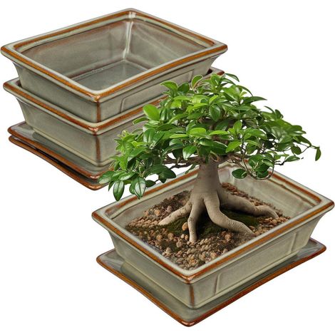 Lot de 2 pots à bonsaï en céramique avec soucoupe, 19 cm, marron (1/5)