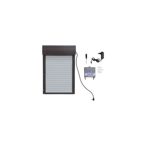 Ouvre-porte automatique de poulailler à piles, avec minuterie pour canard d'oie, prise ue marron 100-240V (1/5)