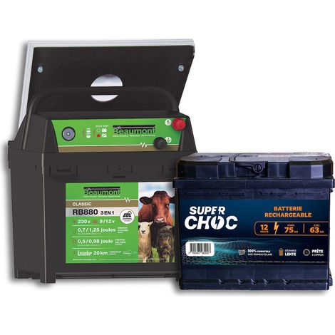 Beaumont – Poste mixte RB880 avec panneau solaire 10W et batterie 12V 75Ah – Autonomie élevée pour usage tout terrain – Protection UV