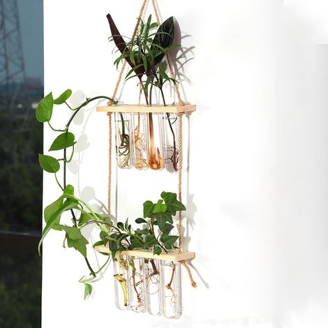 Kreatives, zweistöckiges Hydrokultur-Ornament aus Glas mit vier Öffnungen, Wanddekoration für Hydrokulturpflanzen, hängendes Holzregal, reagenzglasförmiger Pflanzbehälter aus Glas, Naturholzfarbe (1/5)