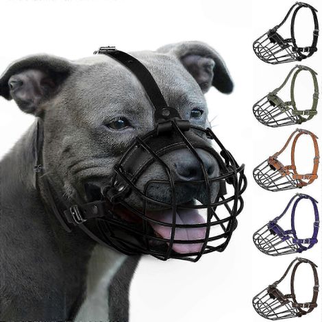 Muselière panier en métal respirant pour chiens de grandes races comme l'Amstaff et le Staffordshire Terrier. Réglable. (1/5)