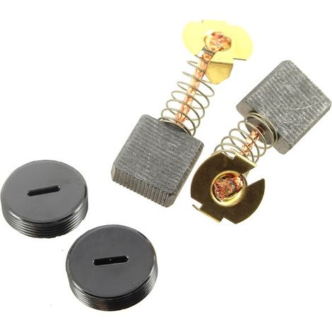 Kohle (2 Stück) 210125628 für Kreissäge a.e.g.