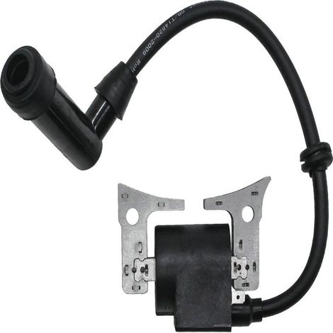 Bobina di accensione ad alta tensione compatibile con EX13 EX17 EX21 277-7943 - ALTRO