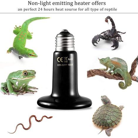 1 Ampoule chauffante céramique, 100W, Infrarouge non lumineuse, Pour reptiles et petits animaux (1/5)