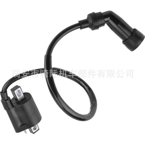 Bobine d'allumage pour VTT Baja 90, CG125, 150, 200cc (1/3)