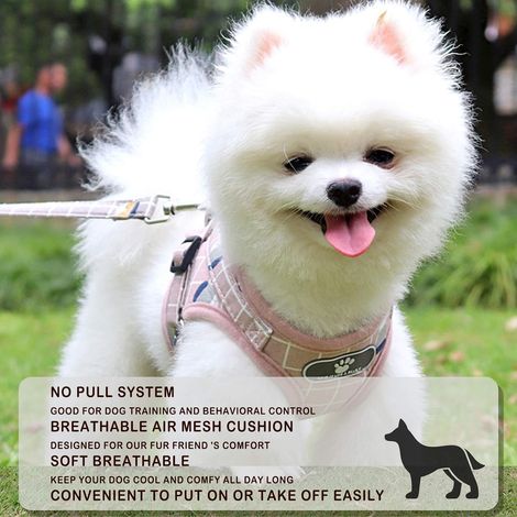 Ajustable Harnais Gilet RembourréRéfléchissant Doux Respirant Confortable Laisse pour Petit Chien Chiot MZ083 (L, Pink) (1/3)