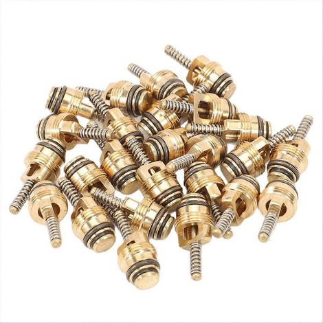 25 pièces Noyau de valve de climatisation BAS03009 MT0065 pour (1/5)