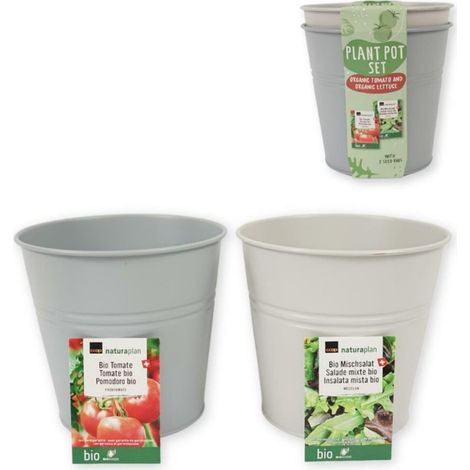 Kweekset Emmer Bio Tomates en Sla