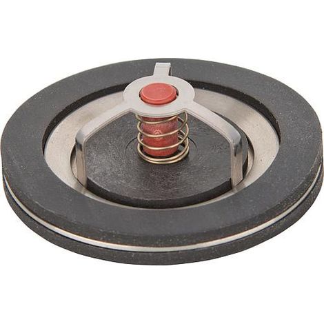 Banyo – Clapet anti-thermosiphon TopInset DN40 1 1/2" – Montage vertical/horizontal – Pour circuits de chauffage et sanitaires – Usage industriel