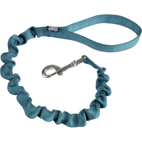 Laisse anti à-coups pour chien "Essentiel" - Bleu - L 120 cm - Livraison gratuite (1/5)