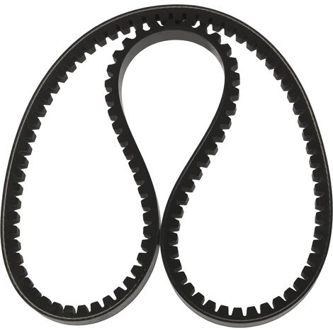 1x Courroie d’Alternateur R97758 T20334 Compatible avec 2040 2130 2240 2250 (1/5)