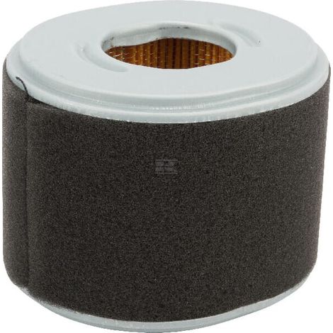 Filtro de aire DONALDSON P607273GJ