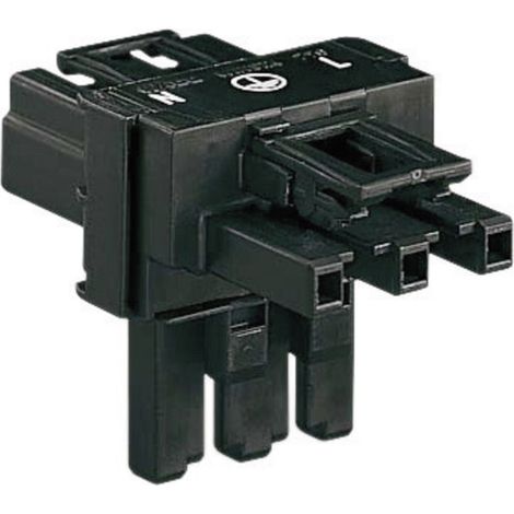 WAGO Netz-T-Verteiler Netz-Stecker - Netz-Buchse, Netz-Buchse Gesamtpolzahl: 2 + PE Schwarz 1 St.