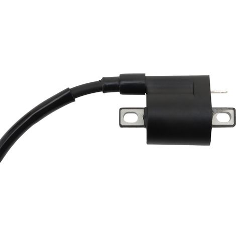 Waterproof ABS ignition coil for marine engines – specifically for Mercury outboard motors (4/5 HP)  Genuine replacement part  High-performance, corrosion-resistant ignition coil--DTEKGAZ