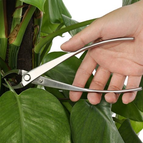 Professioneller Astschere mit runder Schneide aus Edelstahl, Gartenastschneider, Bonsai-Werkzeug (1/5)